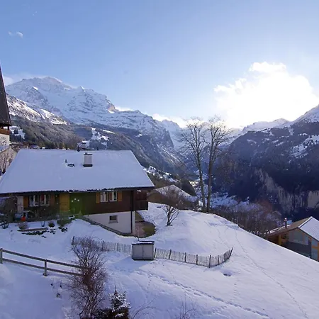 Chalet Wyssbirg 5 아파트 *