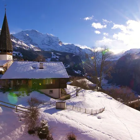 Chalet Wyssbirg 5 *