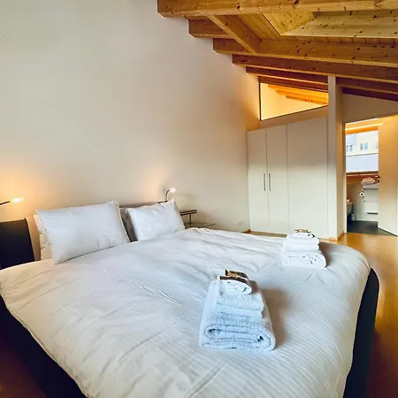Chalet Wyssbirg 5 아파트 *